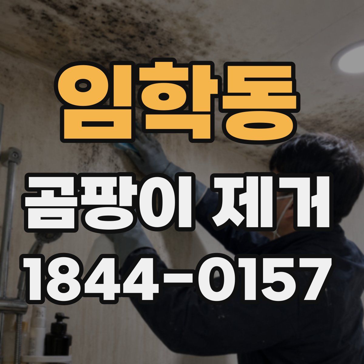 임학동 곰팡이 제거