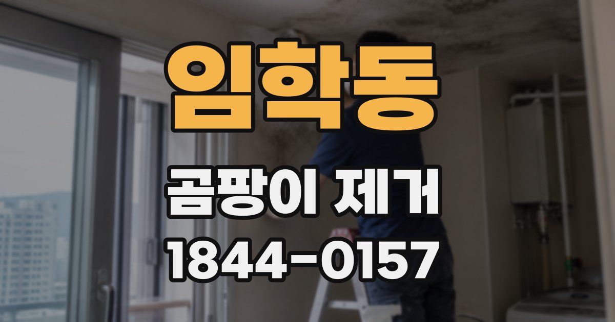 임학동 곰팡이 제거