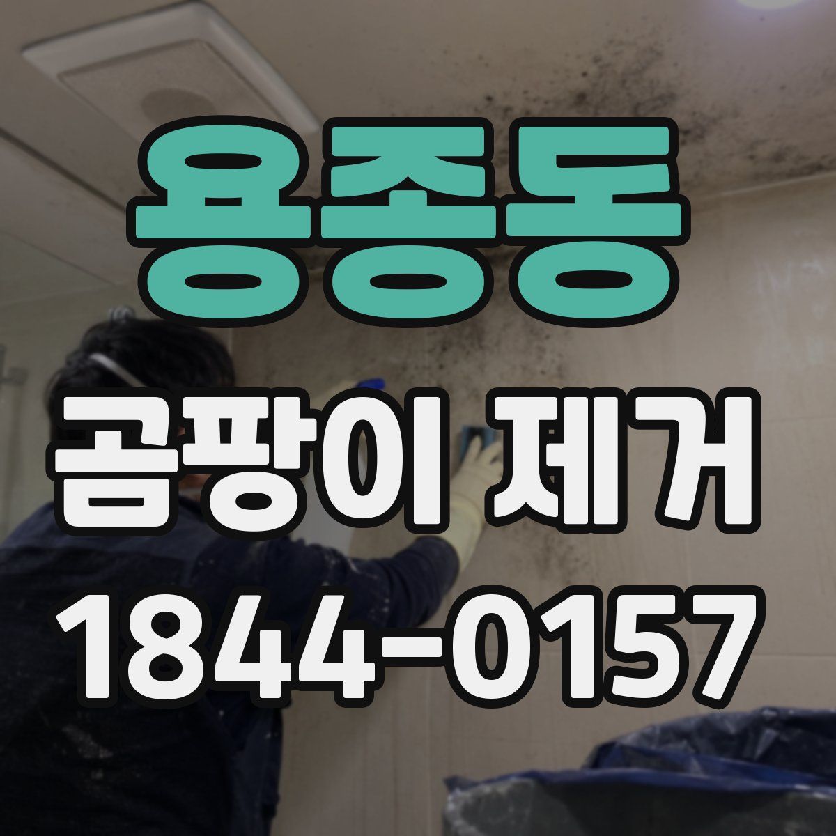 용종동 곰팡이 제거