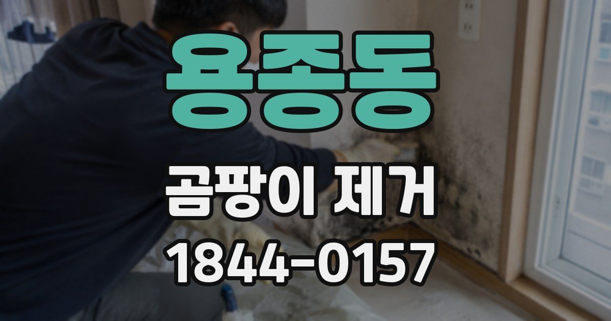 용종동 곰팡이 제거