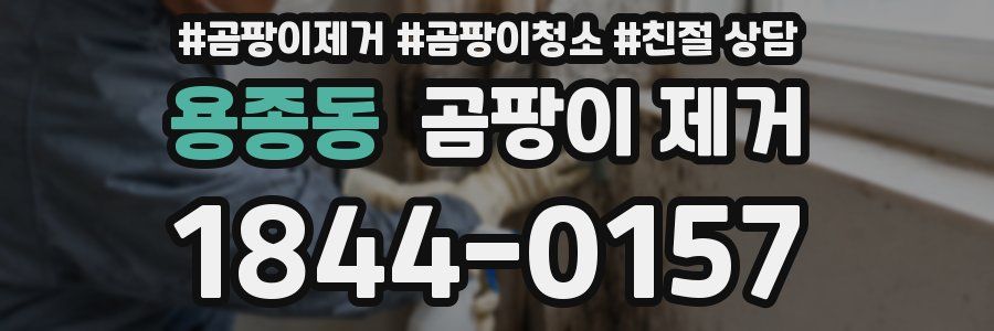 용종동 곰팡이 제거