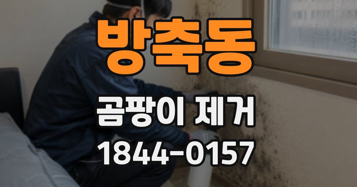 방축동 곰팡이 제거