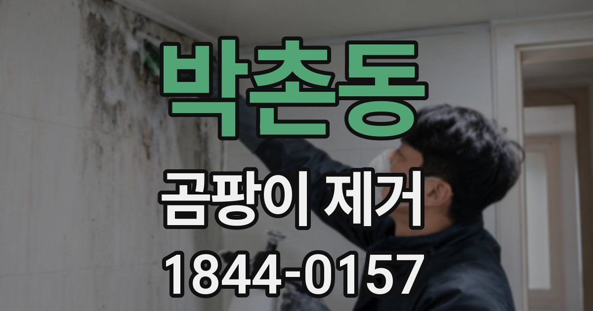 박촌동 곰팡이 제거