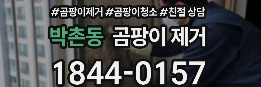 박촌동 곰팡이 제거