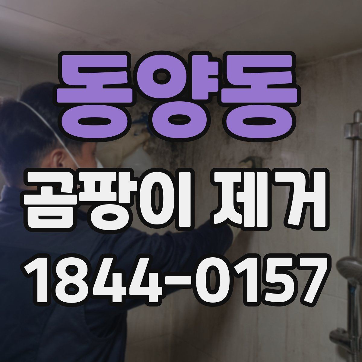 동양동 곰팡이 제거 이웃집과 다른 우리 집 원인 찾기