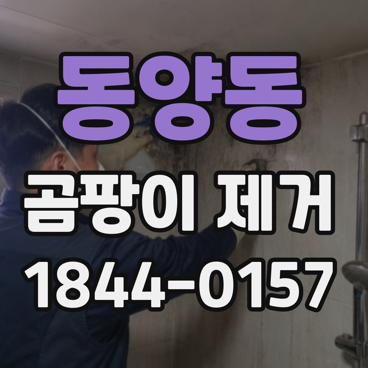동양동 곰팡이 제거