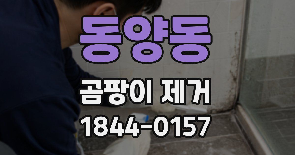 동양동 곰팡이 제거