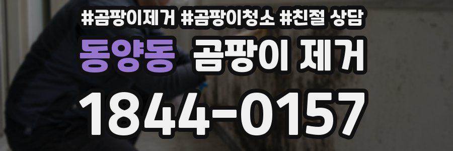 동양동 곰팡이 제거