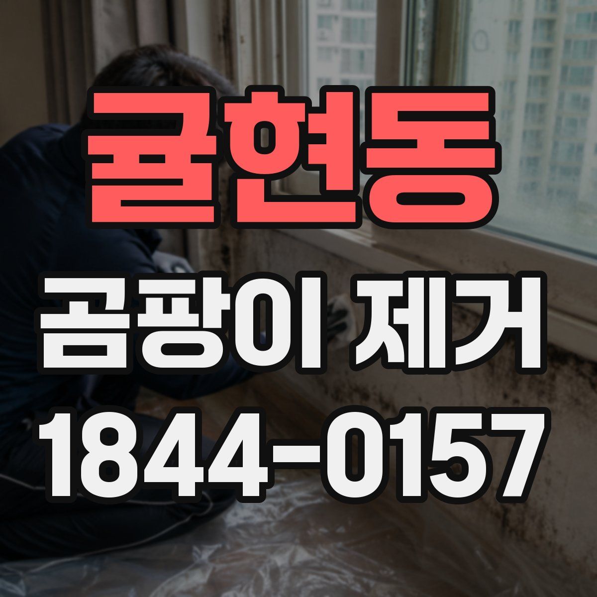 귤현동 곰팡이 제거