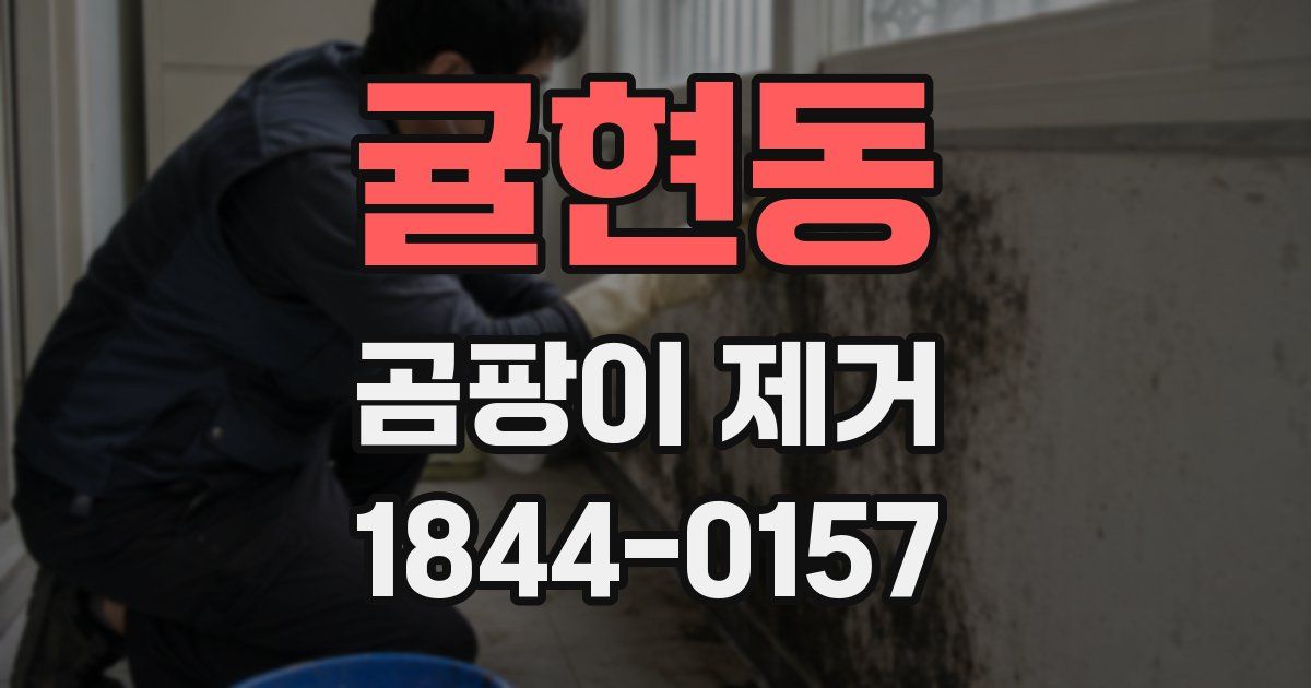 귤현동 곰팡이 제거
