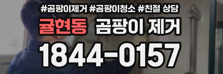 귤현동 곰팡이 제거