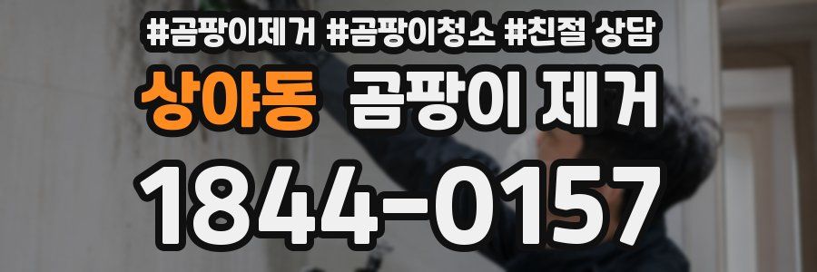 상야동 곰팡이 제거