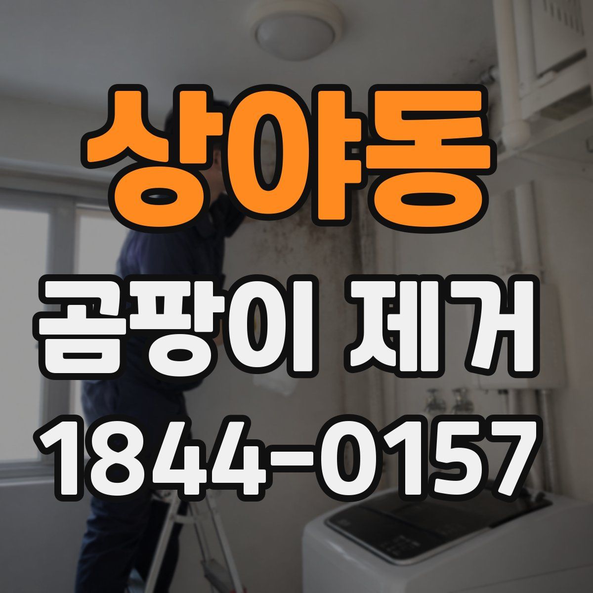 상야동 곰팡이 제거