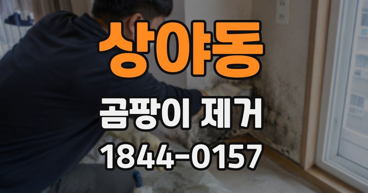 상야동 곰팡이 제거