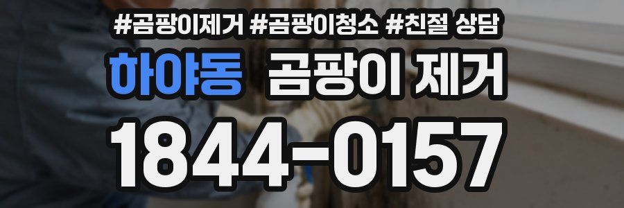 하야동 곰팡이 제거