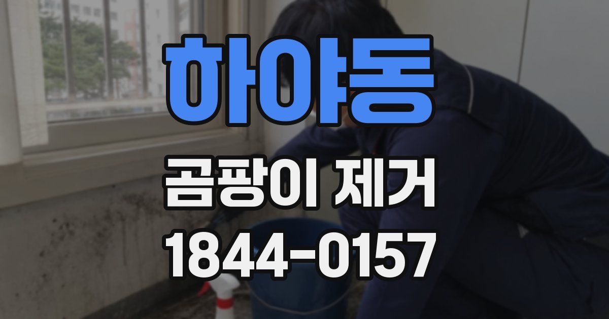 하야동 곰팡이 제거