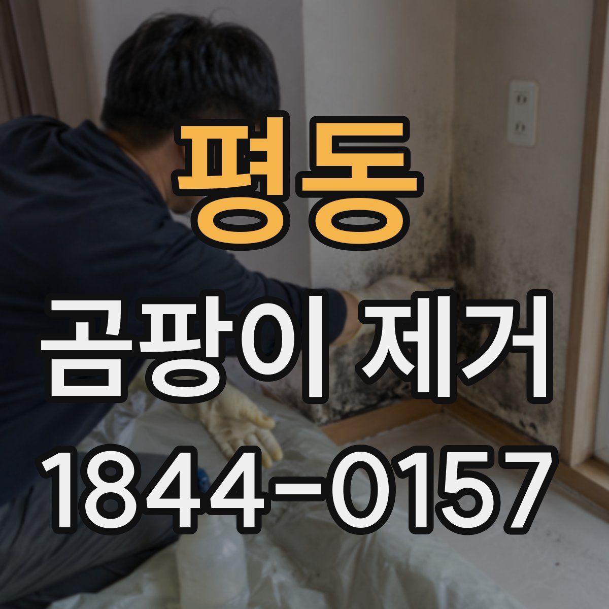 평동 곰팡이 제거