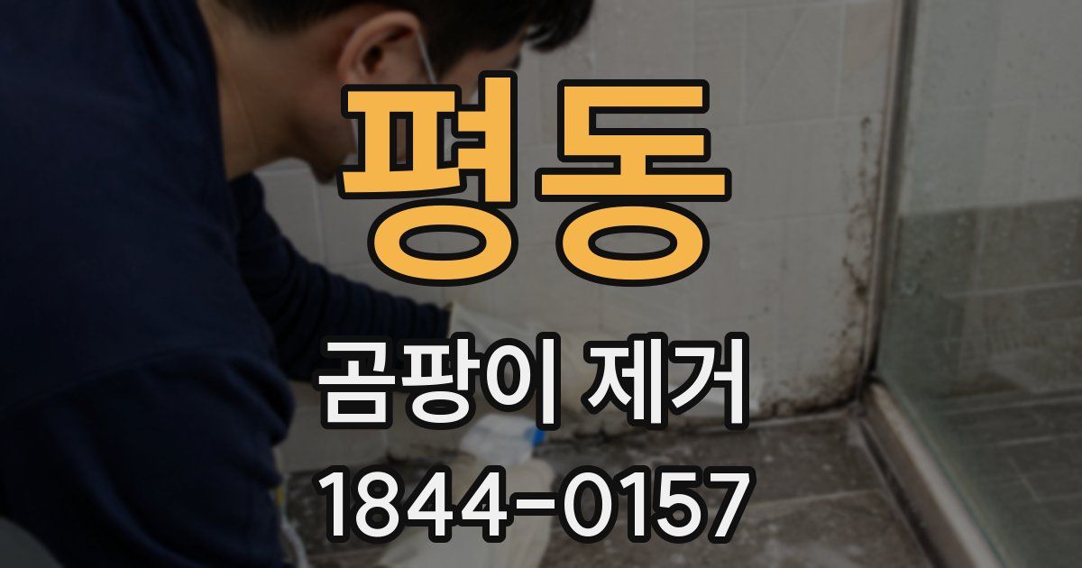 평동 곰팡이 제거