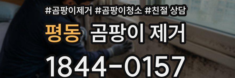 평동 곰팡이 제거
