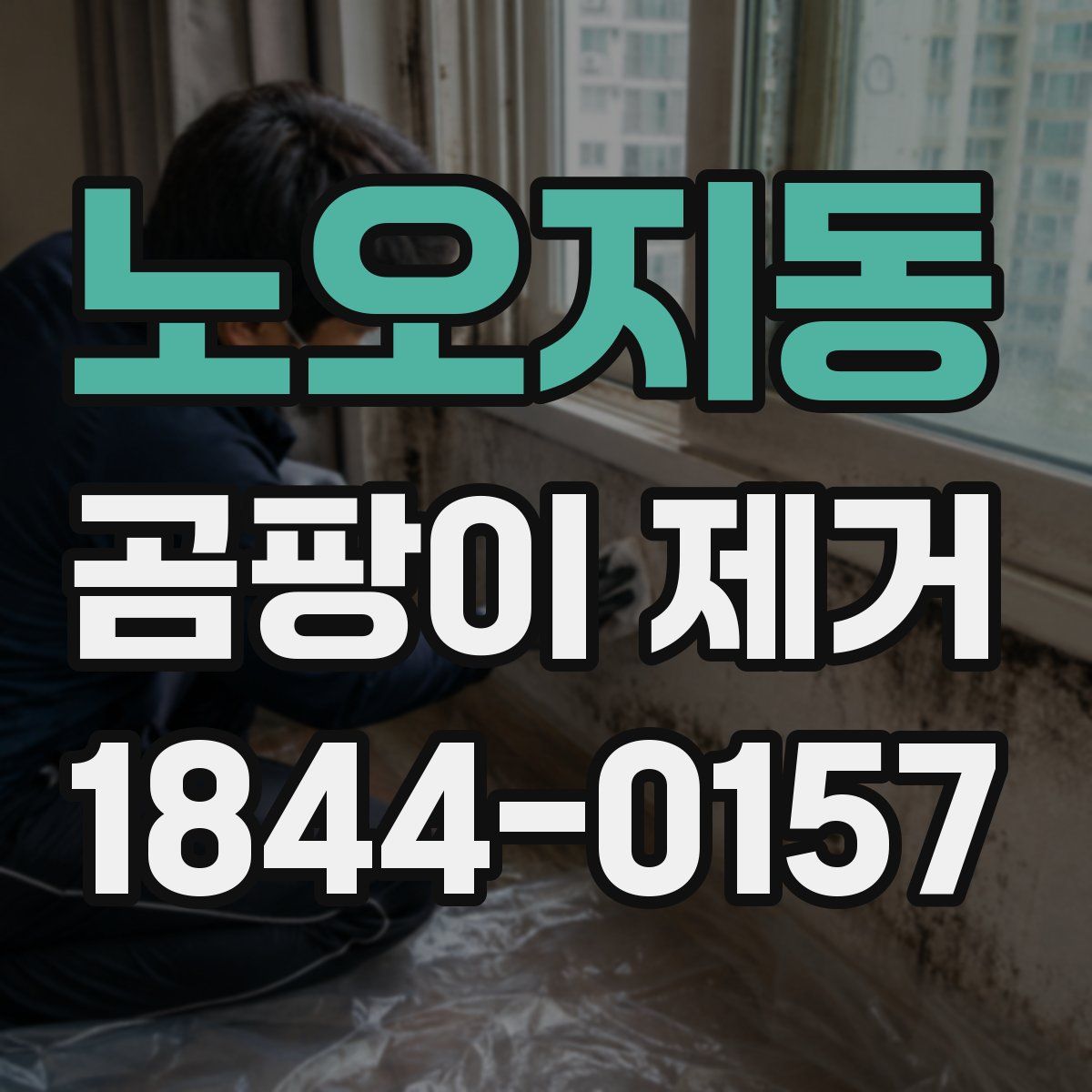 노오지동 곰팡이 제거