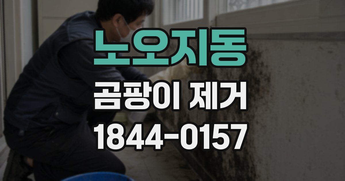 노오지동 곰팡이 제거