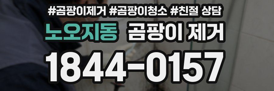 노오지동 곰팡이 제거