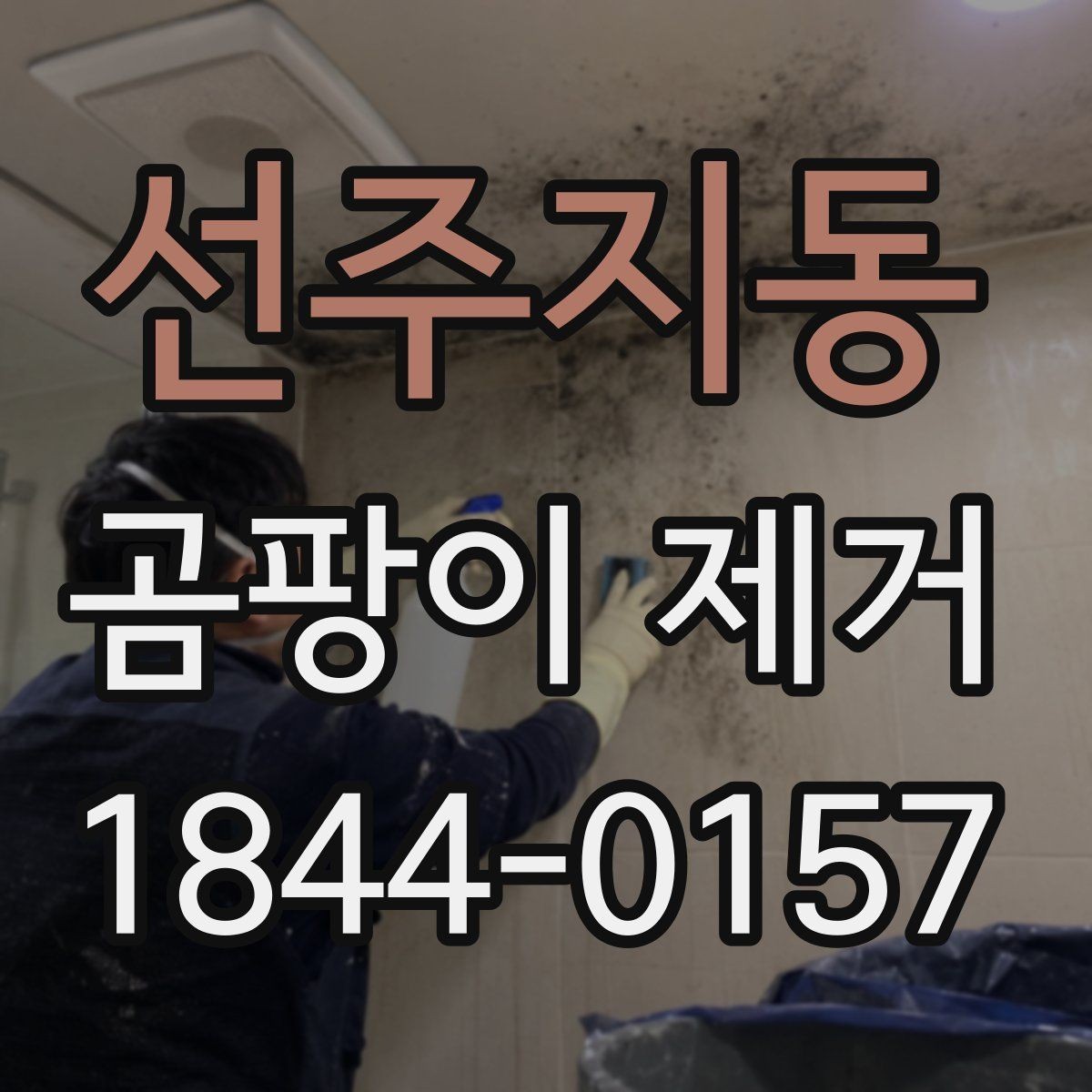 선주지동 곰팡이 제거 전후로 달라지는 생활 동선