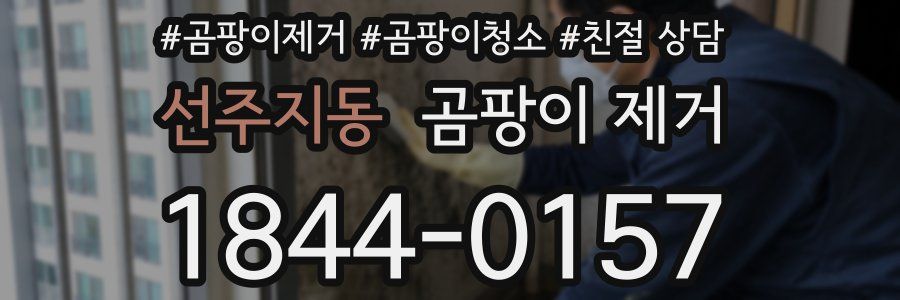 선주지동 곰팡이 제거