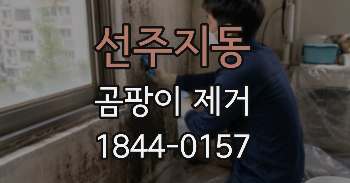 선주지동 곰팡이 제거