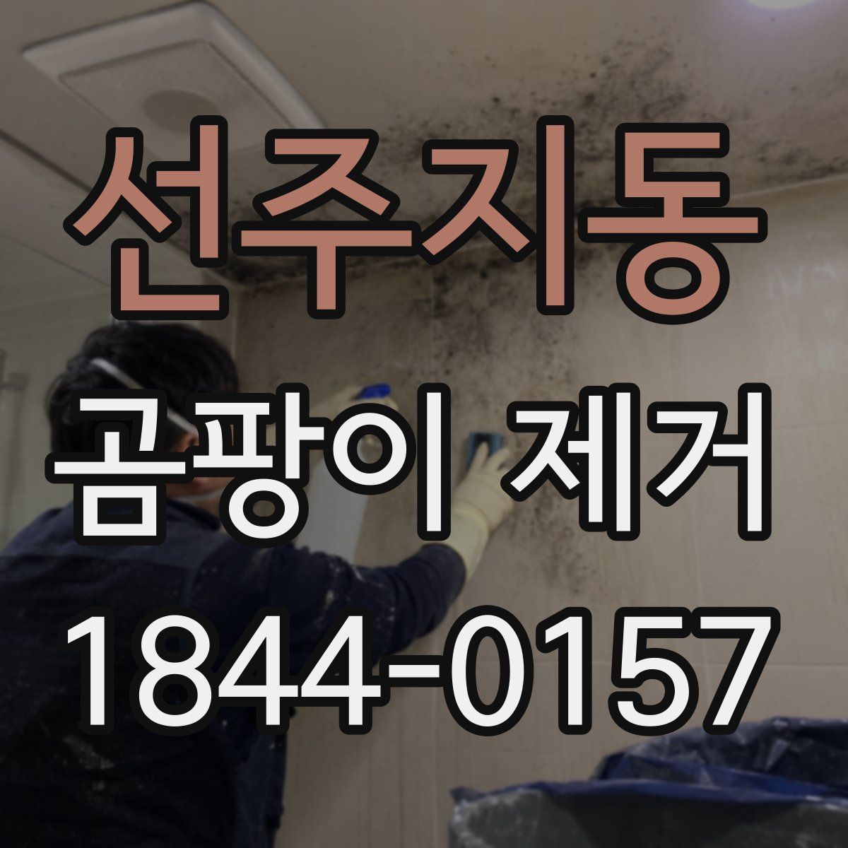 선주지동 곰팡이 제거