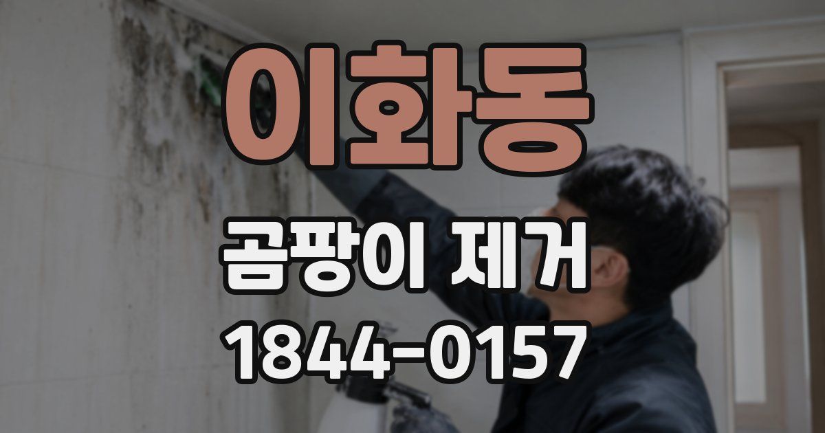 이화동 곰팡이 제거