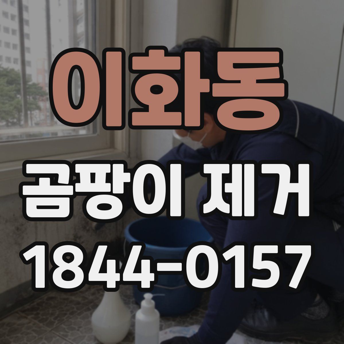 이화동 곰팡이 제거