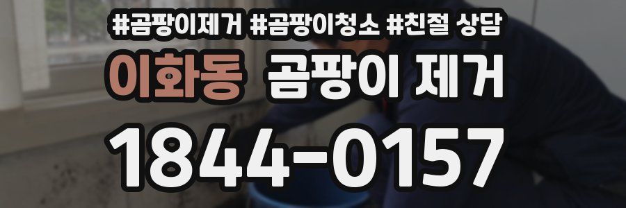 이화동 곰팡이 제거