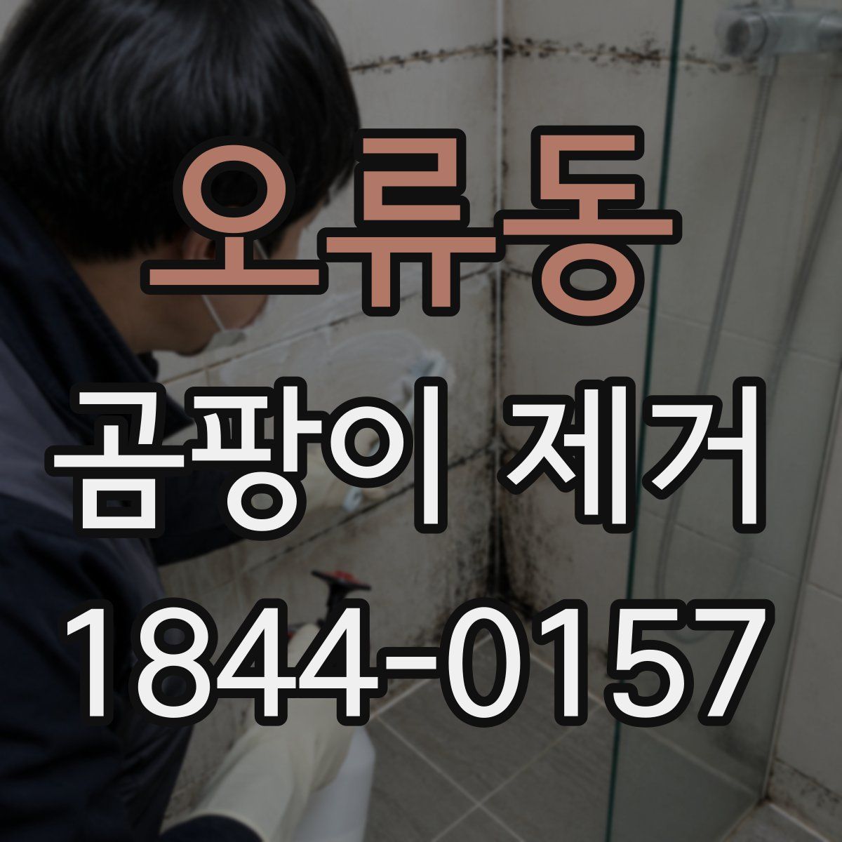 오류동 곰팡이 제거