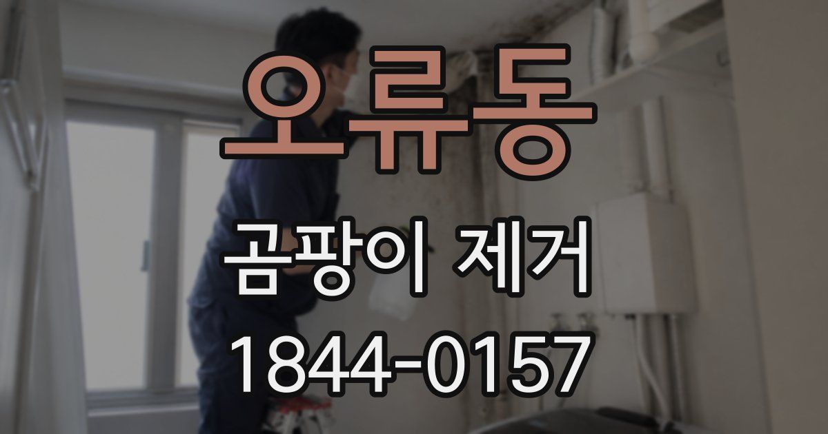 오류동 곰팡이 제거