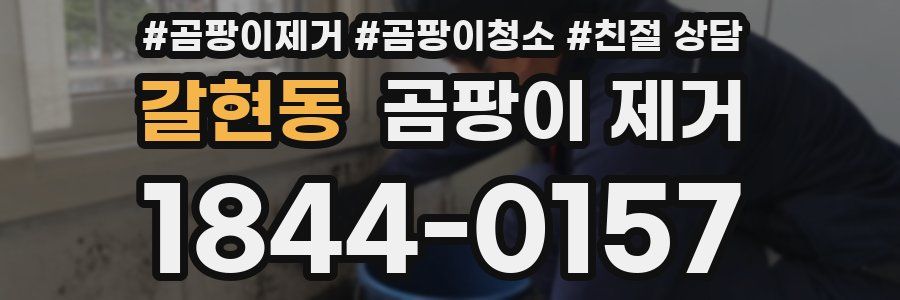 갈현동 곰팡이 제거