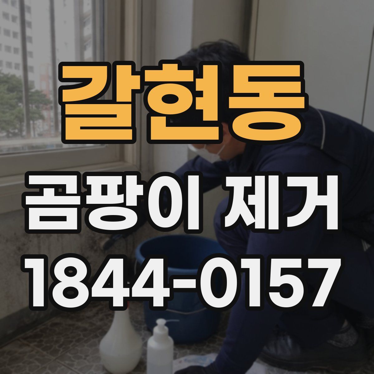 갈현동 곰팡이 제거