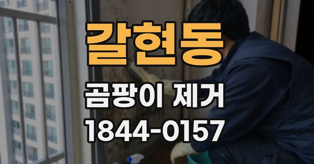 갈현동 곰팡이 제거