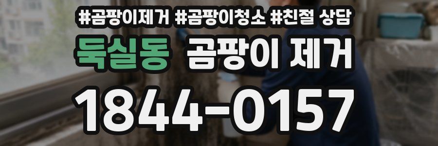 둑실동 곰팡이 제거