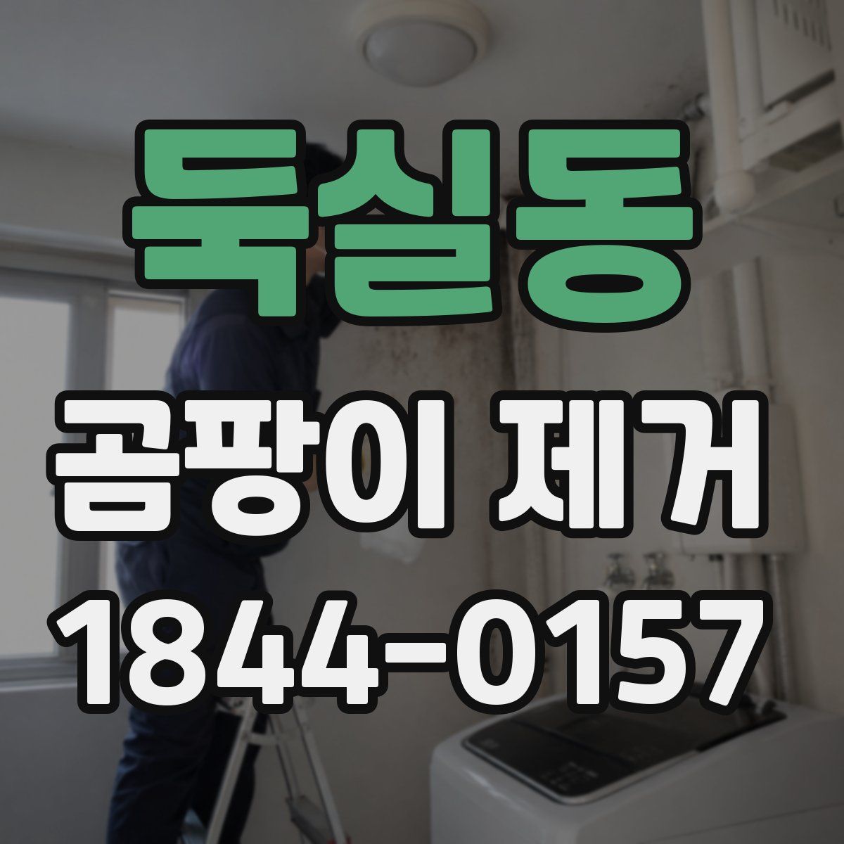 둑실동 곰팡이 제거