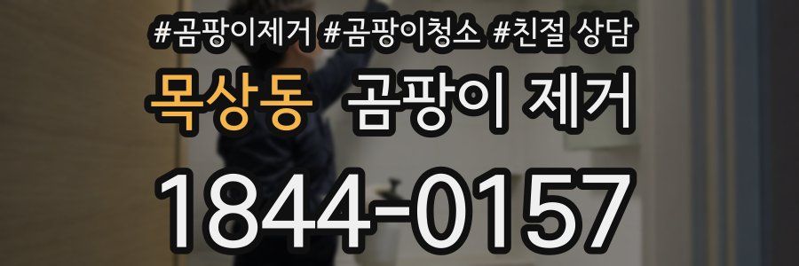목상동 곰팡이 제거