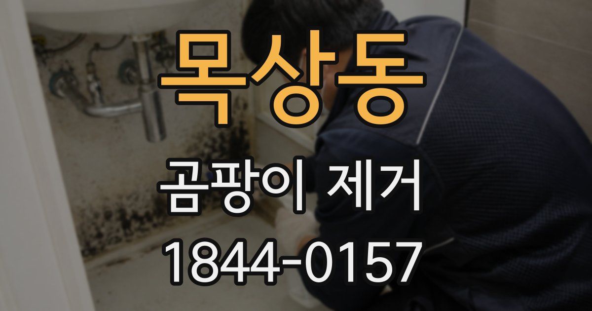 목상동 곰팡이 제거