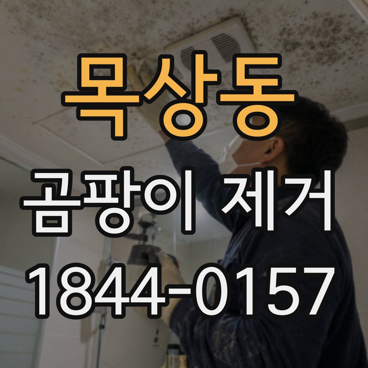 목상동 곰팡이 제거