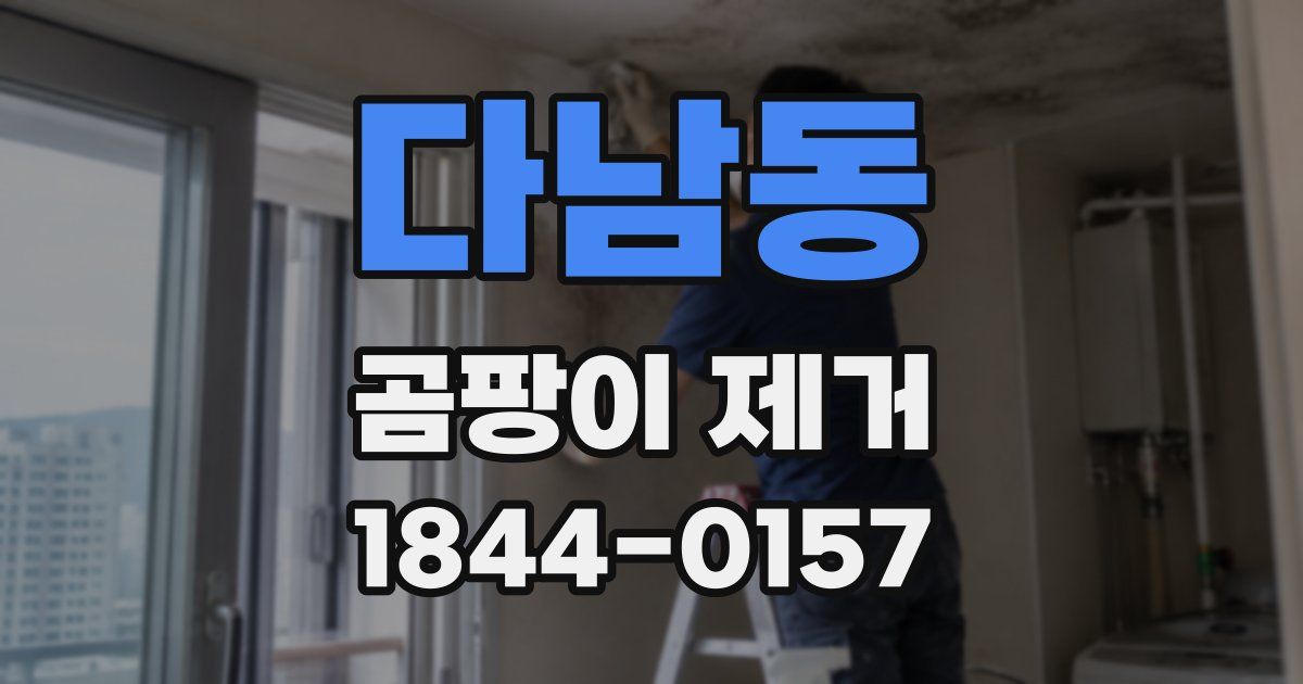 다남동 곰팡이 제거