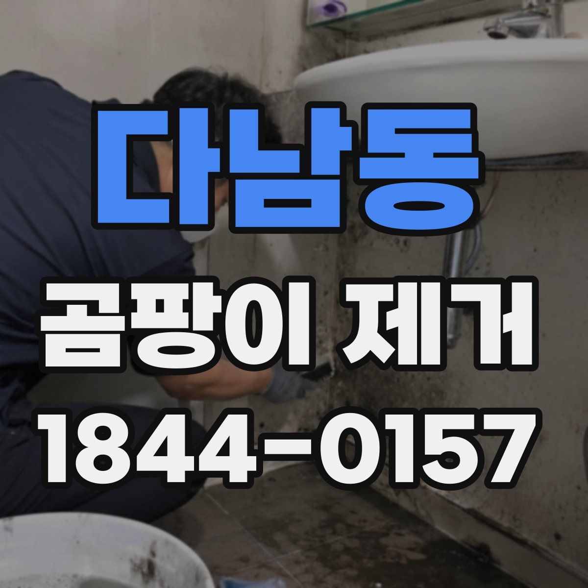 다남동 곰팡이 제거