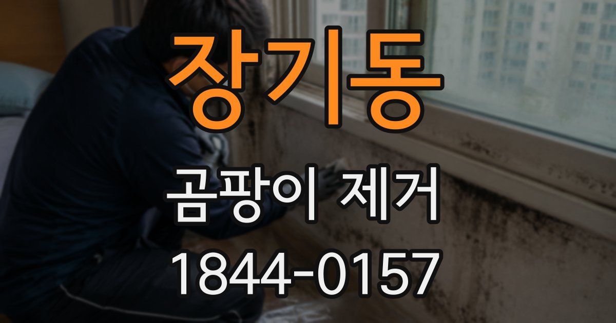 장기동 곰팡이 제거