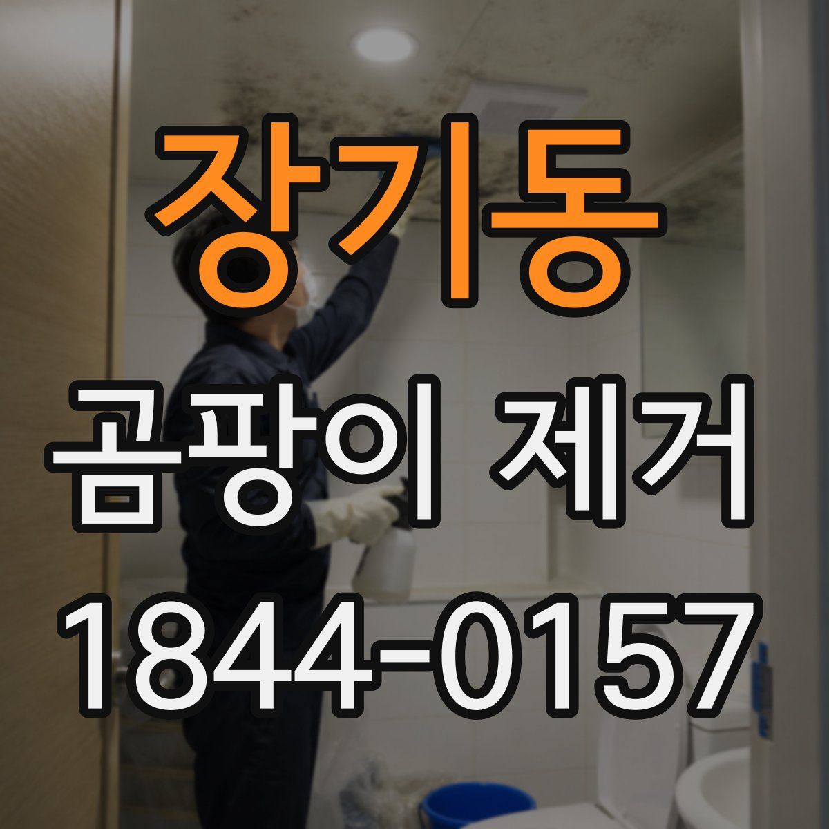 장기동 곰팡이 제거