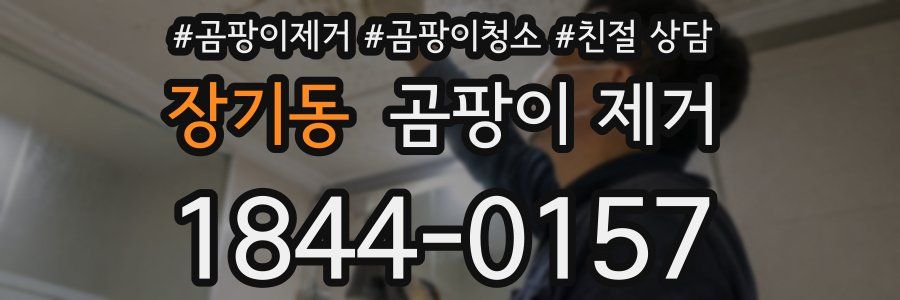 장기동 곰팡이 제거