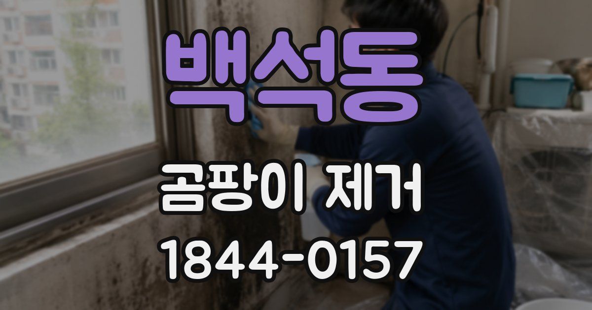 백석동 곰팡이 제거