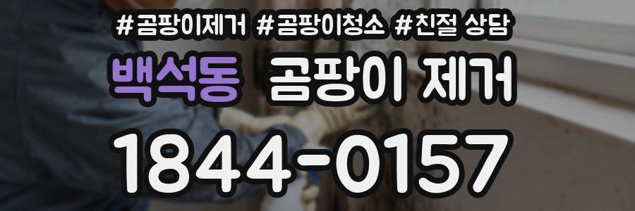 백석동 곰팡이 제거